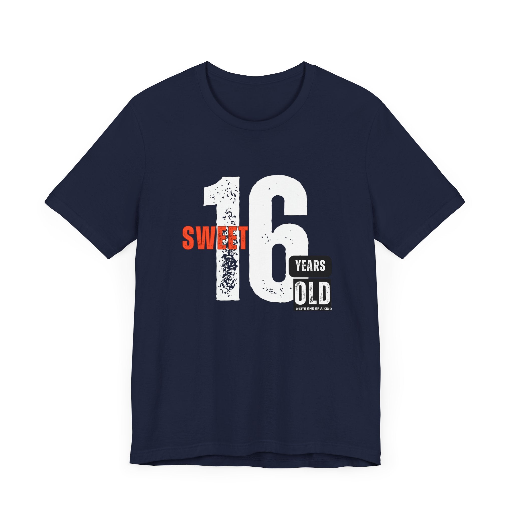 16year Old Unisex Adult Tee